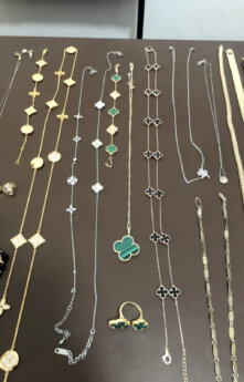 Ukradeno zlato Kragujevac 05 Muškarac iz Sombora uhapšen zbog krađe zlata i nakita od pola miliona evra iz porodične kuće u Kragujevcu (FOTO) 5