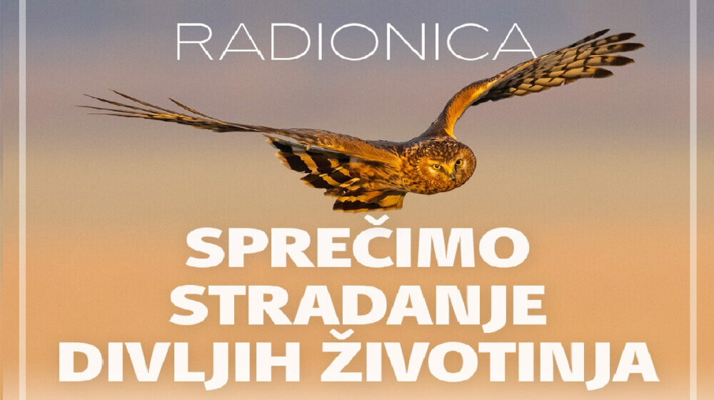Radionica „Sprečimo stradanje divljih životinja“ u Sremskoj Mitrovici 1