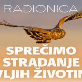 Radionica „Sprečimo stradanje divljih životinja“ u Sremskoj Mitrovici 3