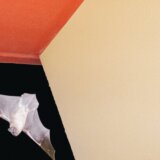 Izložba radova subotičkog fotografa Nemanje Ledenskog u Dvorišnoj galeriji 1