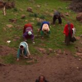 U Turskoj postoje ljudi koji hodaju četvoronoške: Naučnici ponudili nekoliko objašnjenja neobične pojave 4