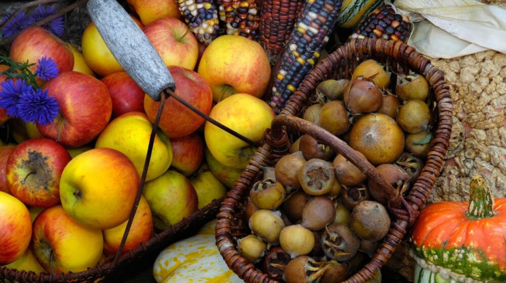 Jesenje voće koje reguliše holesterol, rešava probleme sa želudačnom kiselinom i puno je vitamina C 1