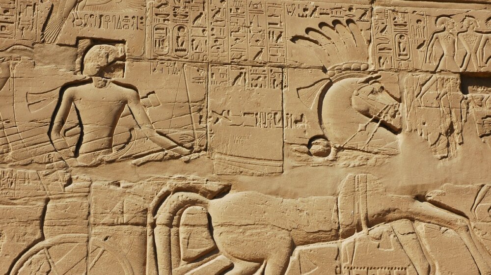 Da li kao društvo postajemo sve nasilniji 1