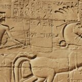 Da li kao društvo postajemo sve nasilniji 1