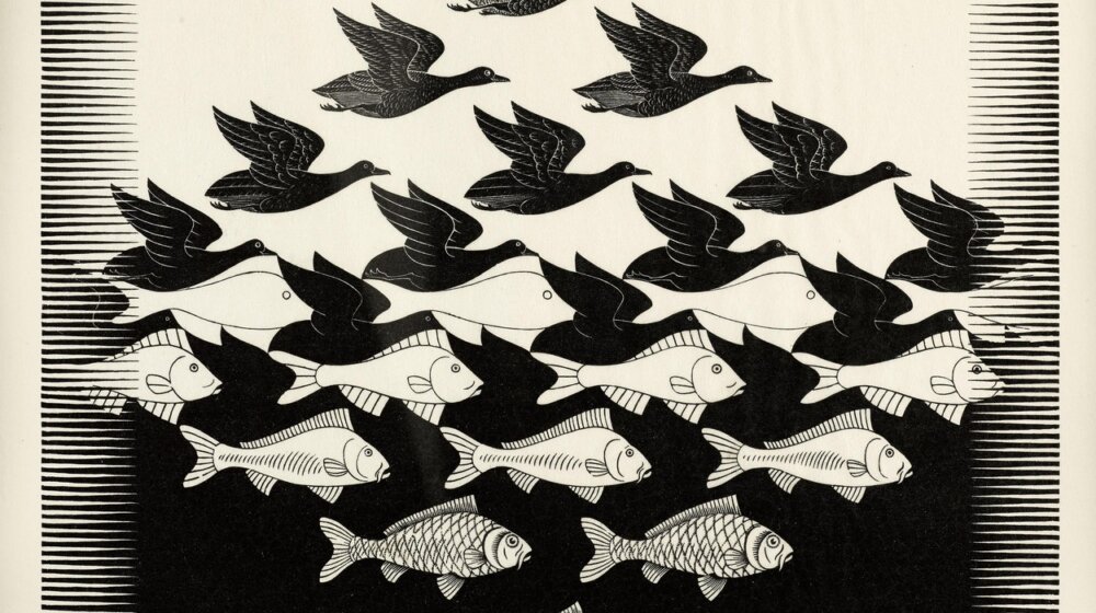 Šta ste prvo uočili - ribu ili pticu: Evo šta to govori o vama 1