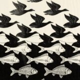 Šta ste prvo uočili - ribu ili pticu: Evo šta to govori o vama 10