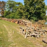 Zbog seče drveća kod Mihajlova LSV odbornici alarmirali javnost 1