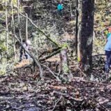 Nastavlja se sanitarno-uzgojna seča u Park šumi “Kraljevica” u Zaječaru 13