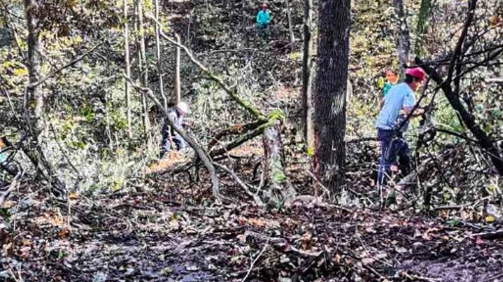 Nastavlja se sanitarno-uzgojna seča u Park šumi “Kraljevica” u Zaječaru 1