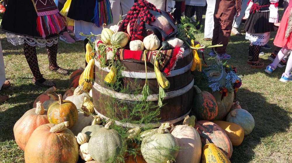 “Kako stariji kažu – tikva je naša banana”: Reporter Danasa na 13. Tikvijadi u Nikoličevu pored Zaječara 7 “Kako stariji kažu – tikva je naša banana”: Reporter Danasa na 13. Tikvijadi u Nikoličevu pored Zaječara 7