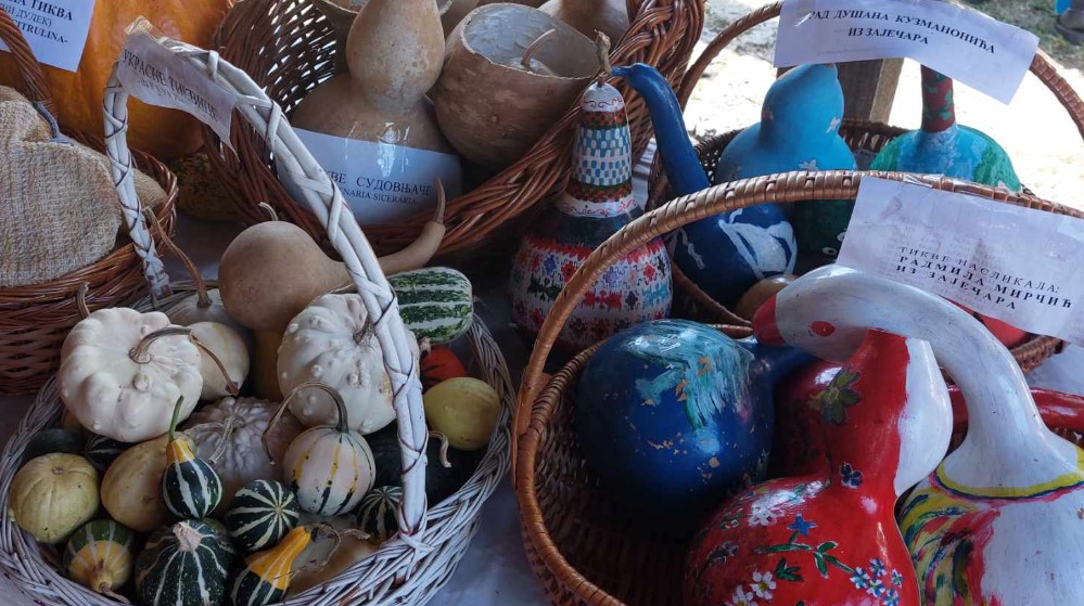 “Kako stariji kažu – tikva je naša banana”: Reporter Danasa na 13. Tikvijadi u Nikoličevu pored Zaječara 8 “Kako stariji kažu – tikva je naša banana”: Reporter Danasa na 13. Tikvijadi u Nikoličevu pored Zaječara 8