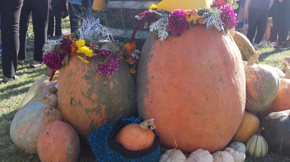 “Kako stariji kažu – tikva je naša banana”: Reporter Danasa na 13. Tikvijadi u Nikoličevu pored Zaječara 3 “Kako stariji kažu – tikva je naša banana”: Reporter Danasa na 13. Tikvijadi u Nikoličevu pored Zaječara 3