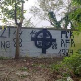 Novi Sad išaran neonacističkim grafitima: Iz pokreta Bravo traže od nadležnih da hitno reaguju i pronađu počinioce 10