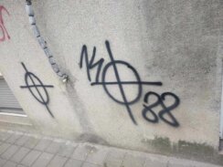 Novi Sad išaran neonacističkim grafitima: Iz pokreta Bravo traže od nadležnih da hitno reaguju i pronađu počinioce 5