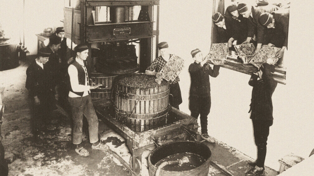 U Galeriji nauke i tehnike SANU otvara se izložba "Vinski letopis Srbije" 1