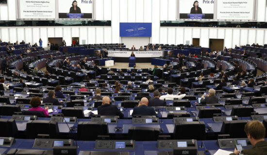 Knaus: Nekoliko država se sprema da blokira glasanje za prijem Kosova u Savet Evrope, među njima i Francuska i Nemačka 10
