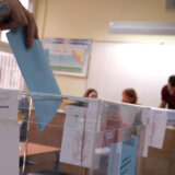 Crta o glasanju u inostranstvu: Manje prijavljenih birača, više biračkih mesta 10