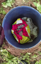 Policija zaplenila veću količinu droge i oružja, uhapšena dva albanska državljanina (FOTO) 4