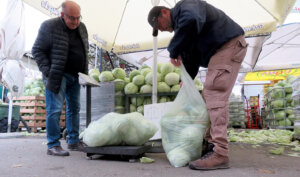 Leskovac: Poljoprivrednici besplatno delili kupus i krastavac