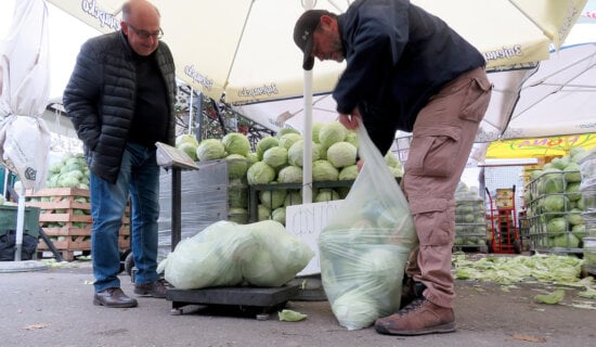 Leskovac: Poljoprivrednici besplatno delili kupus i krastavac 11