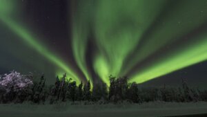 "Sunce će ove zime dostići vrhunac svog približno 11-godišnjeg ciklusa": Naučnici predviđaju najbolje prikaze u poslednjih 20 godina 2