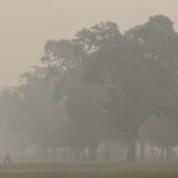 Nju Delhi zbog zagađenja zatvorio škole 3