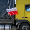 Evropska komesarka za transport: Ne možemo biti taoci poljskih kamiondžija 10
