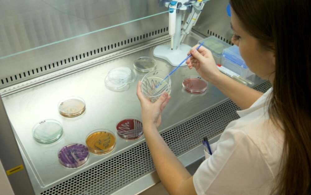 INTERVJU Olja Šovljanski, najbolja mlada naučnica u Srbiji: Kad im damo šansu, mikroorganizmi će pomiriti čoveka i prirodu 3