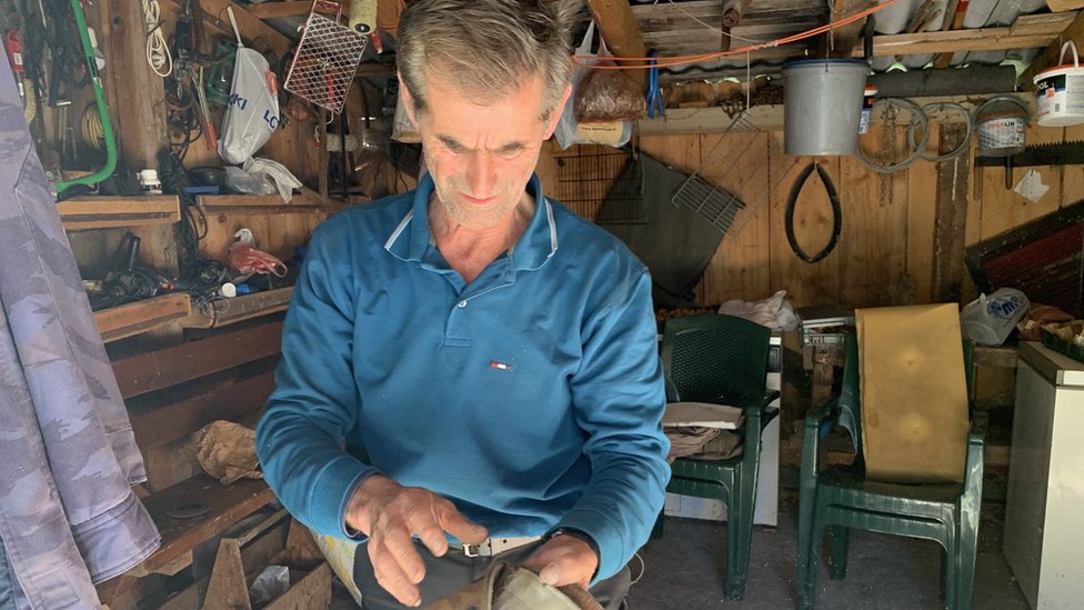 Šumarstvo u Srbiji: Ko bere šišarke, ima li ih dovoljno i zašto su važne 2 Vladan Petrović