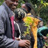 Afrika i životna sredina: Poseban državni praznik u Keniji kako bi zasadili 100 miliona stabala 6