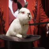 Mentalno zdravlje: Mađioničari manje skloni mentalnim bolestima od drugih umetnika, pokazalo istraživanje 2