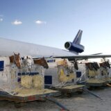 Avioni i incidenti: Konj Hudini se oslobodio u avionu tokom leta, pilot morao da se vrati u Njujork 7