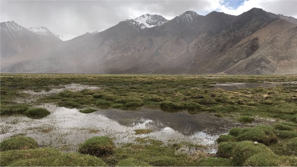 Klimatske promene: Seljani prave ledene kule od 30 metara na Himalajima kako bi sačuvali vodu 4 Voda od otopljenog snega