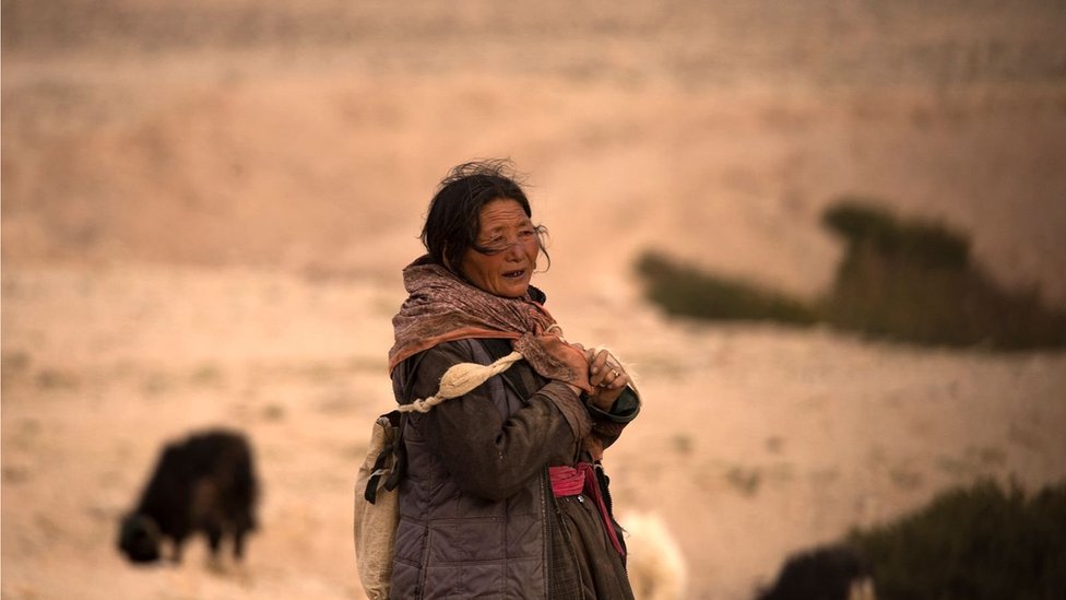 Klimatske promene: Seljani prave ledene kule od 30 metara na Himalajima kako bi sačuvali vodu 5 uzgajivač koza