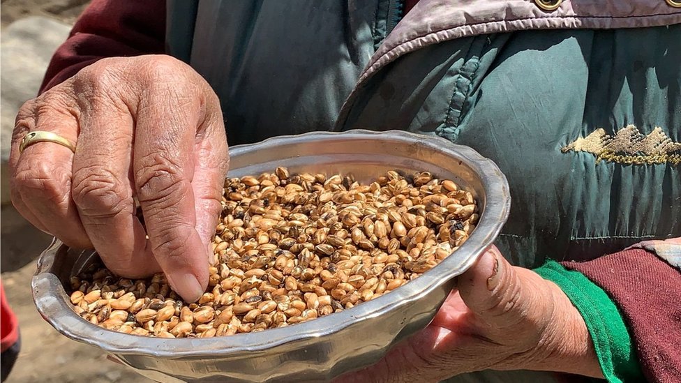 Klimatske promene: Seljani prave ledene kule od 30 metara na Himalajima kako bi sačuvali vodu 6 farmer