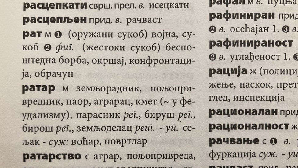 Srpski jezik: Šta povezuje parizer i superćelijsku oluju, a šta je lažireč 2023. godine 2 Fotografija iz rečnika