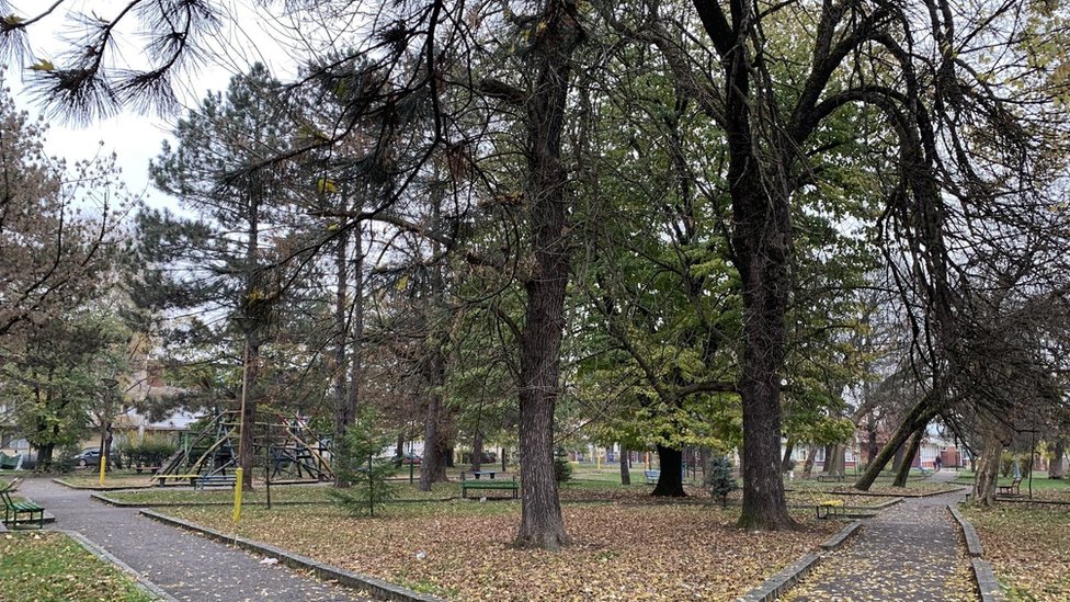 Albanci u Srbiji: „Dok se ne reše sukobi Beograda i Prištine nema boljitka" 5 Bujanovac