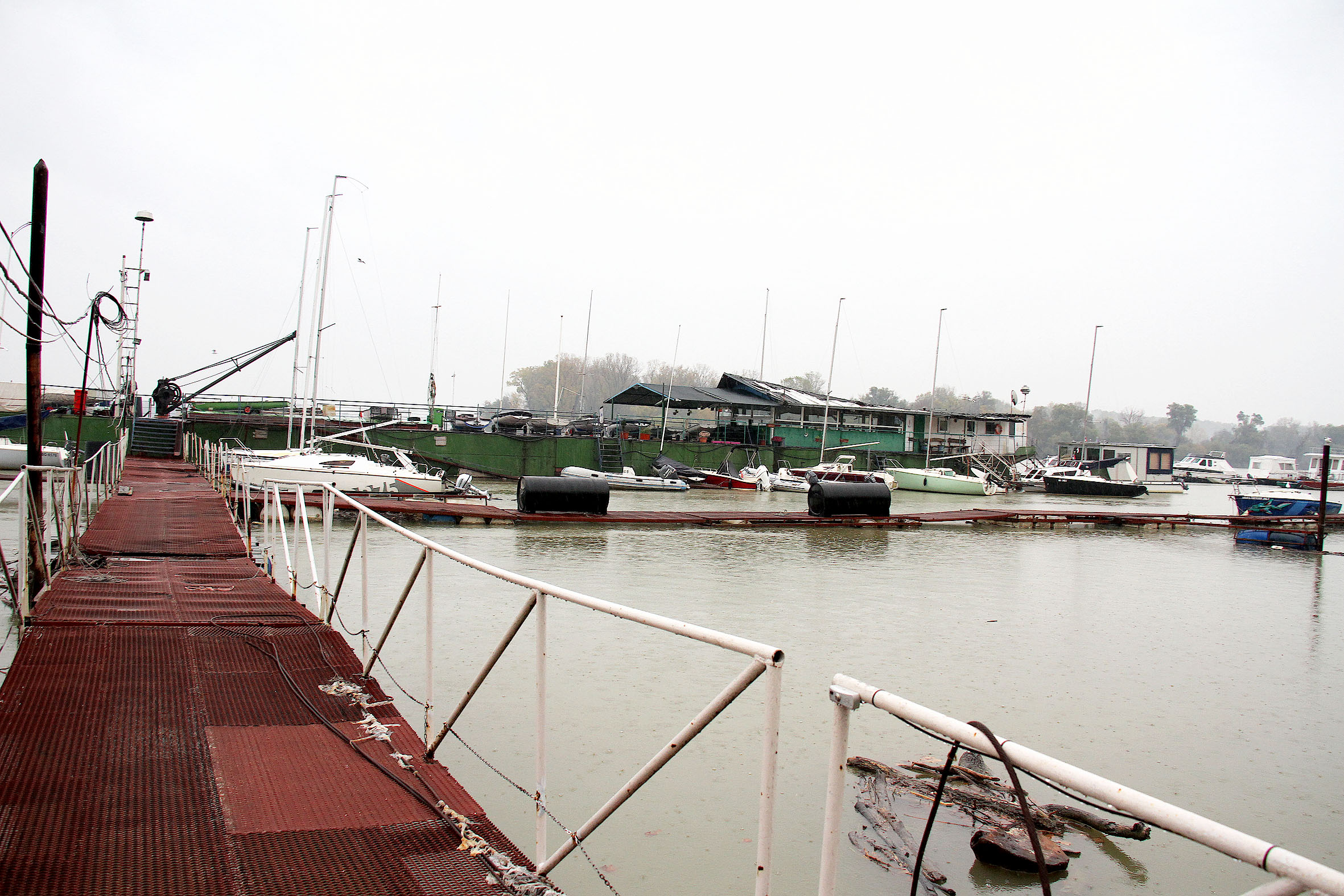Jedriličarski klub Zemun osnovan 1946, ali ga ni istorija izgleda neće spasiti selidbe sa Dunava - Šapić jasno poručio: "Mi sada postavljamo pravila" 4
