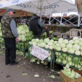 Leskovac: Poljoprivrednici besplatno delili kupus i krastavac 17