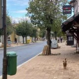 Iz zborova u izbore: Zaječar i Kosjerić čeka glasanje za odbornike, vratila se dilema "bojkot ili izlazak" 11