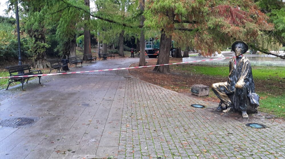 "Obesili Đuru": Spomenik Đuri Jakšiću u Dunavskom parku u Novom Sadu poslužio da se obeleže radovi 1