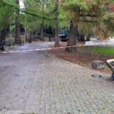 "Obesili Đuru": Spomenik Đuri Jakšiću u Dunavskom parku u Novom Sadu poslužio da se obeleže radovi 3