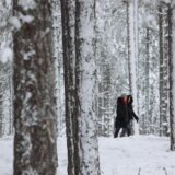 Vatrogasci spasili mladića koji je na Tari sleteo sa staze 11