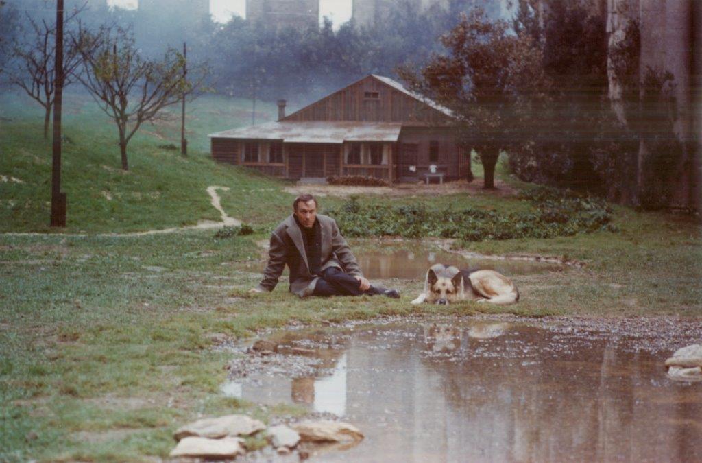 Boro Drašković dobitnik nagrade za životno delo 29. Festivala autorskog filma 2