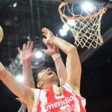 Zvezda ispustila pobedu u Barseloni, sjajne partije Mitrovića i Teodosića 11