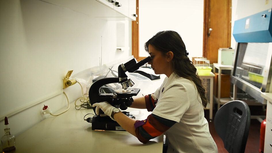 INTERVJU Olja Šovljanski, najbolja mlada naučnica u Srbiji: Kad im damo šansu, mikroorganizmi će pomiriti čoveka i prirodu 4