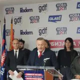 Najavljen izlazak na izbore liste Srbija na Zapadu: Podršku dali Milojko Pantić, Basara, Bešlin, David... 8