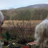"U zemlji povećan bakar, u krompiru nađen arsen": Porodica iz Krivelja kod Bora tvrdi da im je zemlja zatrovana 1