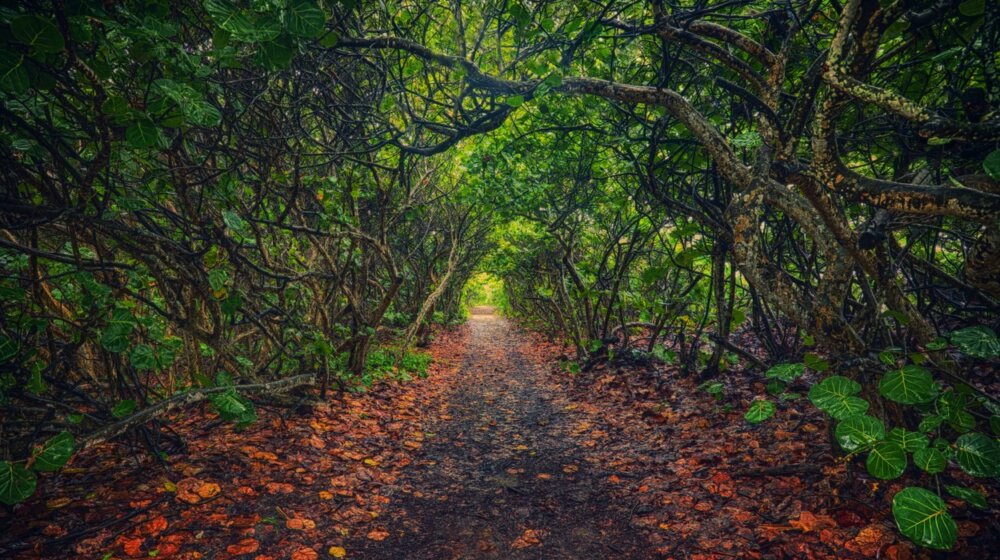 Rešite ovaj psihološki test i otkrijte kakva se osoba krije u vama 1
