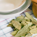 Čaj od lovorovog lista deluje protiv kašlja, ali i u lečenju dijabetesa 1